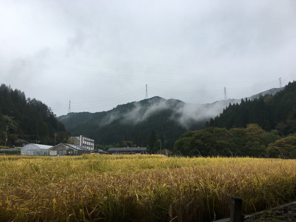 inabu_landscape3